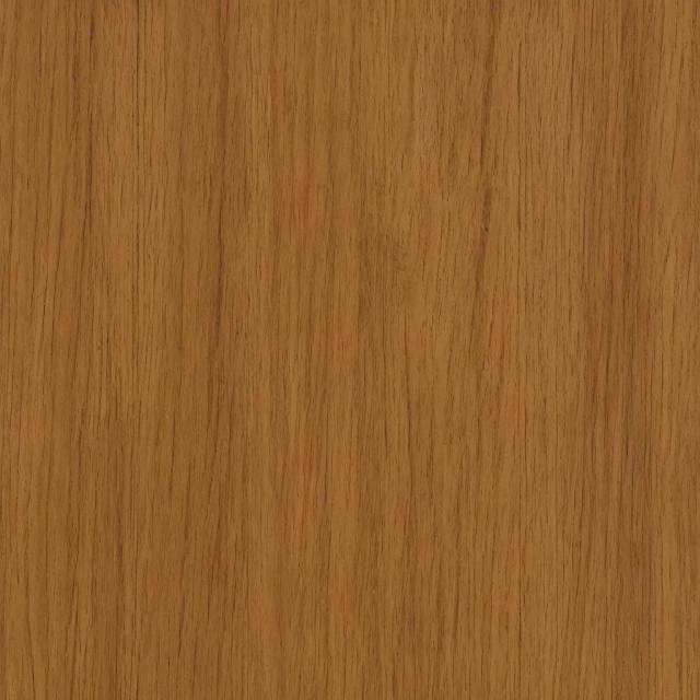 Random Animal 15