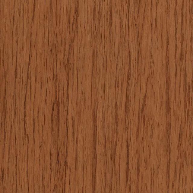 Random Animal 13