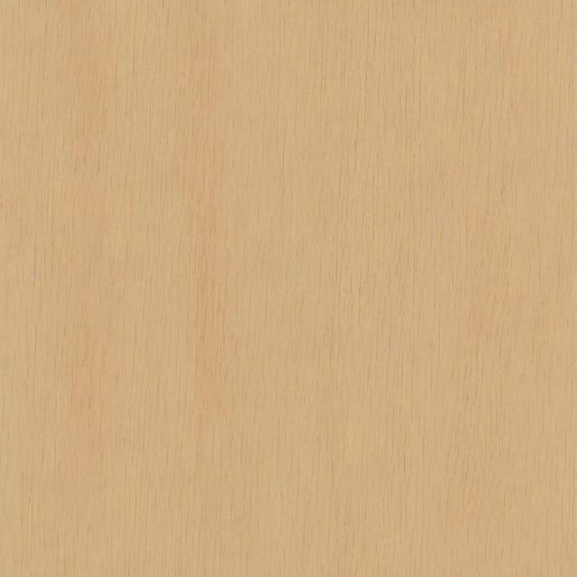 Random Animal 19