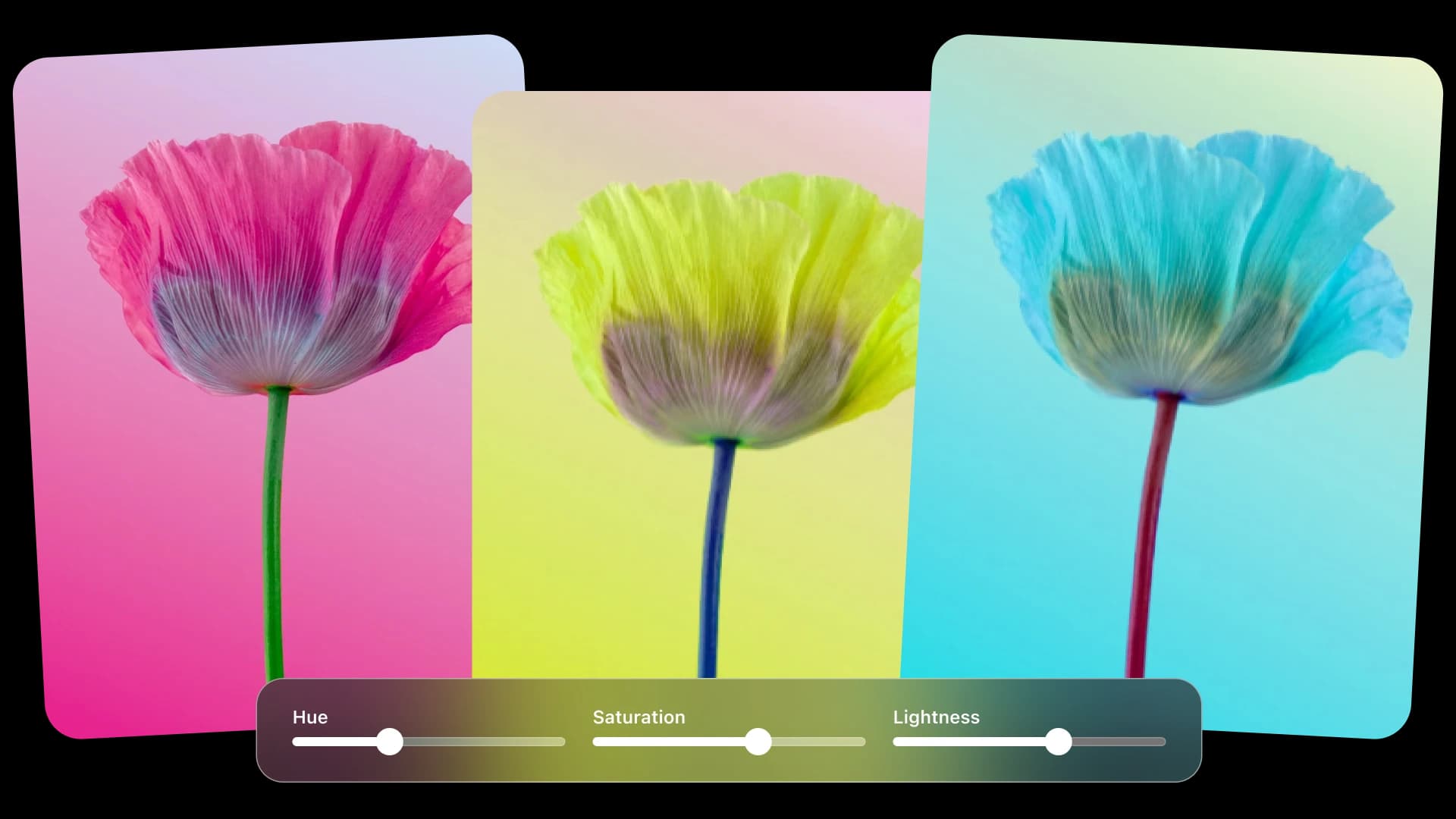 frontend-image-hsl placeholder