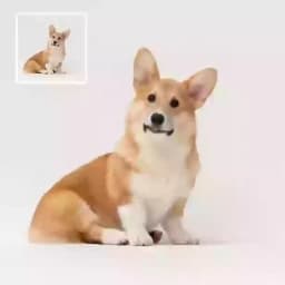 Chuyển đổi hình ảnh thành video placeholder