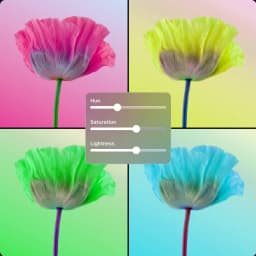 Hình ảnh HSL placeholder