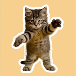 Đường viền hình ảnh placeholder